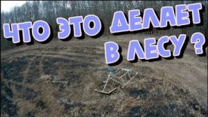 КОП в Лесу около Москвы. Поиск с металлоискателем!