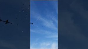 14.12 . 2023.ГОЛУБИ.АЛЕКСАНДРА..КОВАЛЕВА.🕊🕊