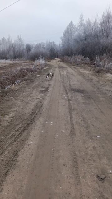 Настороженность к новому