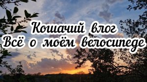 Кошачий влог⬛ Всё о моем велосипеде