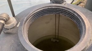 Hydroponic growing Momotaro tomatoes