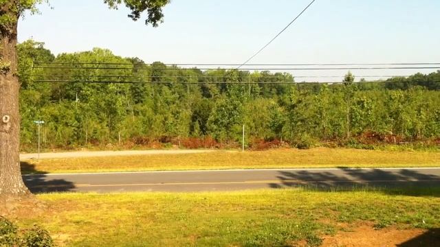 Sounds of the Magicicada смотреть онлайн