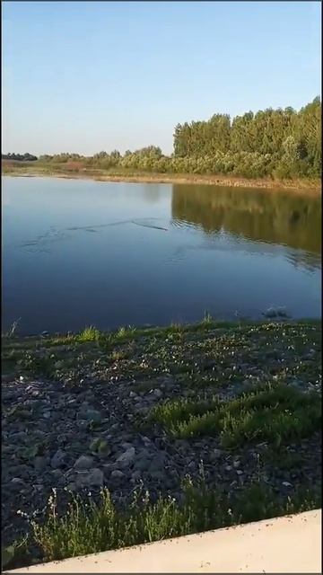 Ярамир внук,