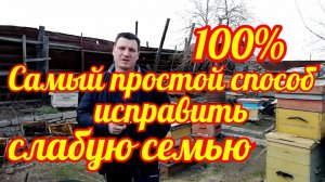 Самый простой способ исправления слабой семьи!