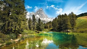 Электронная композиция "Лесная быль." Автор музыки и монтаж видео: / Лома ЛИ /