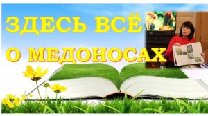 Где найти нужную информацию о медоносных растениях? ПОЛЕЗНЫЕ КНИГИ О МЕДОНОСАХ