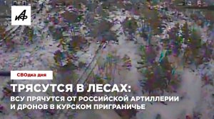 Трясутся в лесах: ВСУ прячутся от российской артиллерии и дронов в курском приграничье