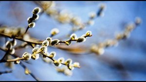 Б  Окуджава  Песенка о пехоте  Стихи #стихиовойне #авторскаяпесня #поэты20века