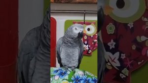 Кира выучила еще одно новое слово