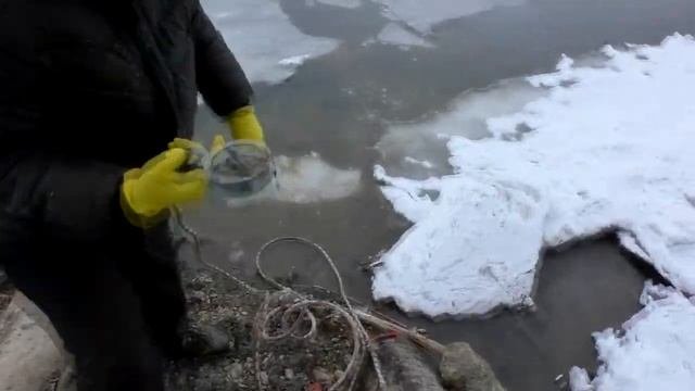 ВОТ ЭТО ПОКИДАЛИ! РЕАЛЬНЫЕ НАХОДКИ НА ПОИСКОВЫЙ МАГНИТ! Кладоискатель Белый Копатель