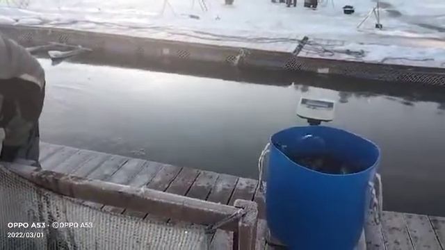 1 марта 2022 г. смотреть онлайн