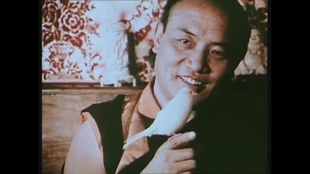 Живой Будда смотреть онлайн