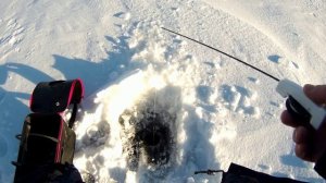 Большой Еланчик!!! Ловля спортивных окуней!!!