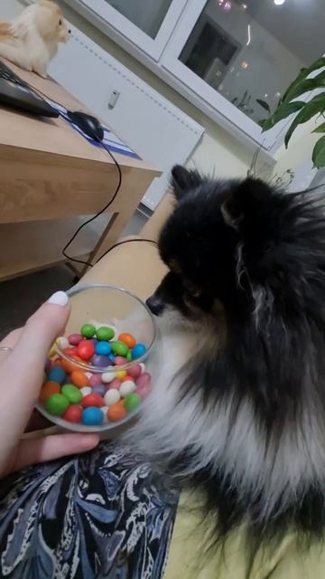 1000091145.mp4