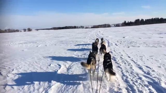 2019.03.03 15-й километр заключительного этапа «7холмов» смотреть онлайн