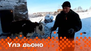 «Үлэ дьоно»   (09.02.25)