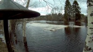 Брусовица 21 05 2017г