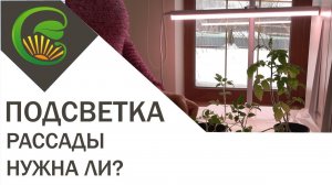 Подсветка РАССАДЫ - нужна ли она?