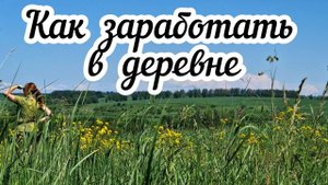 Как заработать в деревне? Мой опыт удаленной работы