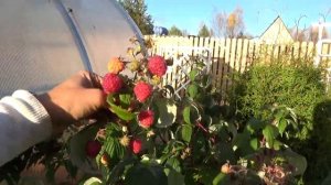6 соток 19 октября 2020 года 1 часть Хроника