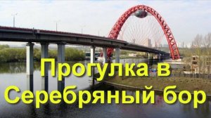 Прогулка в Серебряный бор. Отреставрированная сталинская пристань. Живописный мост в Москве