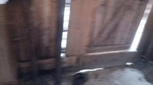 ПродажаДамаОса.mp4