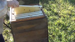 Часть 6 отводки