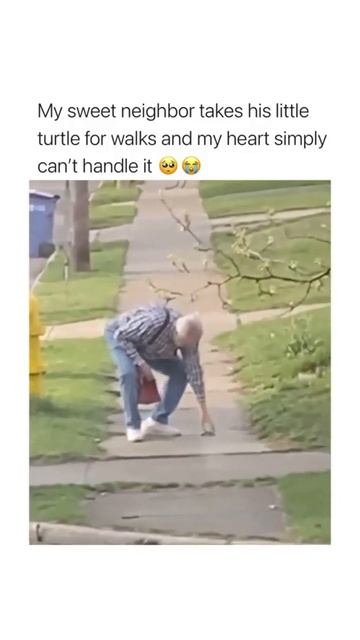 walking your turtle смотреть онлайн