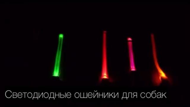 Светодиодный ошейник для собак смотреть онлайн