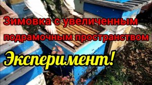 История одного отводка/ Эксперимент с зимовкой- увеличил подрамочное пространство на магазин!