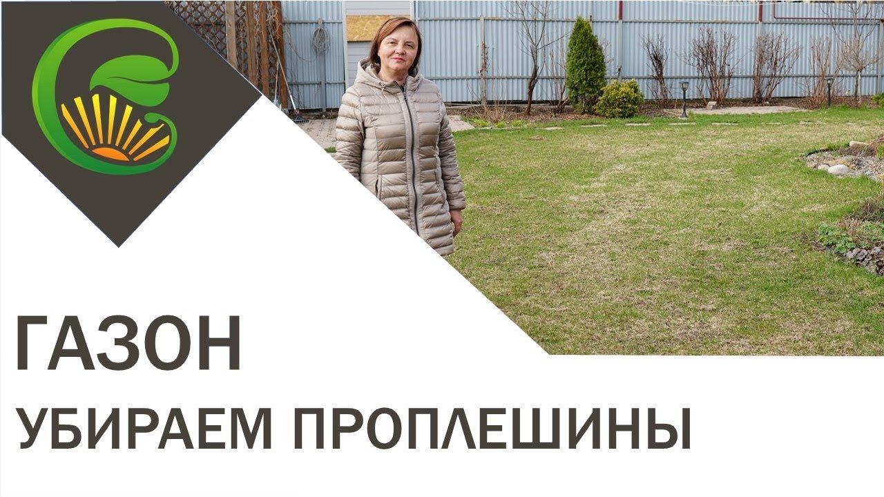 Как убрать проплешины на газоне