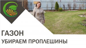 Как убрать проплешины на газоне