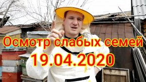 Осмотр слабых семей. Ситуация плачевная....