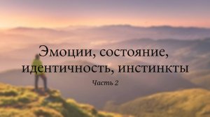 Как самоощущение и инстинкты определяют нашу реальность