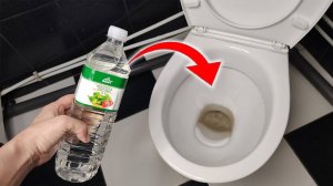 Вот что будет, если налить УКСУС В УНИТАЗ 💥 НЕВЕРОЯТНЫЙ РЕЗУЛЬТАТ