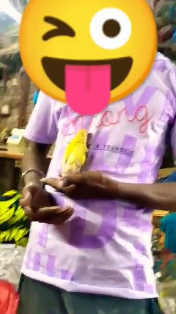 #pakhiderduniya #rk_ritwik #lovestatus #lovebirds #cute #trendingshorts смотреть онлайн