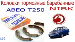 Колодки тормозные барабанные NIBK (1)