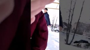 Жёсткие агрошкольники. [18+] Много мата.