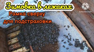 Зимовка в лежаках. Рамка с медом сверху для подстраховки!