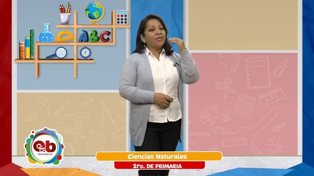 1 Primaria - Ciencias Naturales - Estaciones del año смотреть онлайн