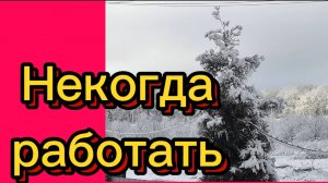 ДЕРЕВЕНСКИЙ ДНЕВНИК. Некогда работать.