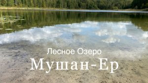 Лесное озеро Мушан-Ер, Марий-Эл