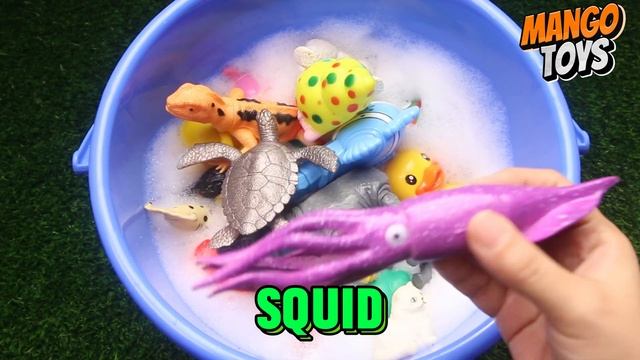 Learn Wild Animal Names and SEA Animal Names in English смотреть онлайн