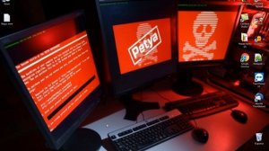 Вирус Петя Petya платить или нет ?