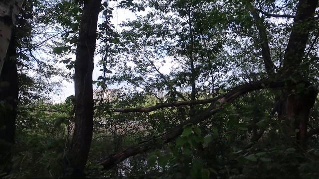 Бесконечная песня жизни смотреть онлайн