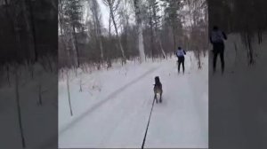 Гонки