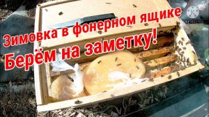 Зимовка в фанерном ящике. Как сохранить слабую семью или матку. Рекомендую взять на заметку!!!