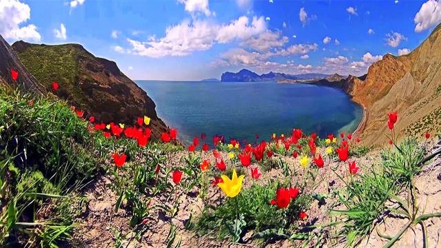 С днём подснежника.