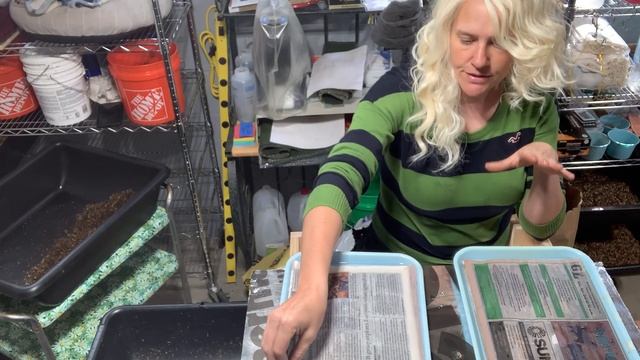 Seed Microbial Inoculation #vermicompost смотреть онлайн