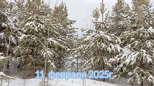Аномальная зима/Органика-МУСОР???! /Сроки посевов.